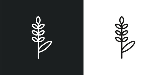 lavender outline icon in white and black colors. lavender flat vector icon from nature collection for web, mobile apps and ui.