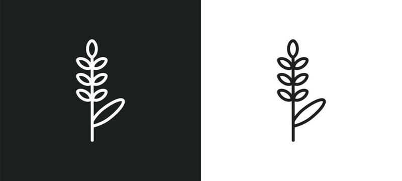 lavender outline icon in white and black colors. lavender flat vector icon from nature collection for web, mobile apps and ui.
