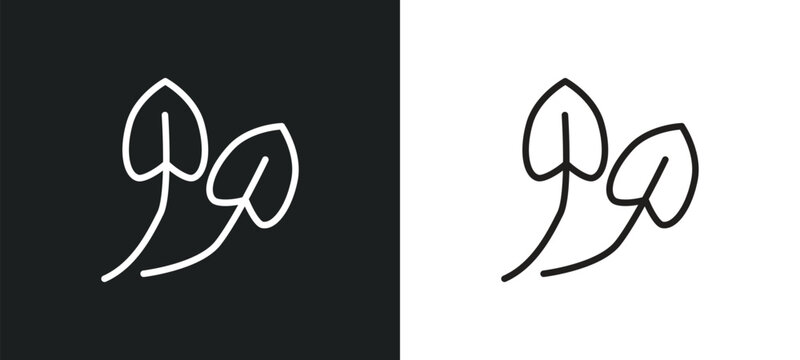 anthurium outline icon in white and black colors. anthurium flat vector icon from nature collection for web, mobile apps and ui.