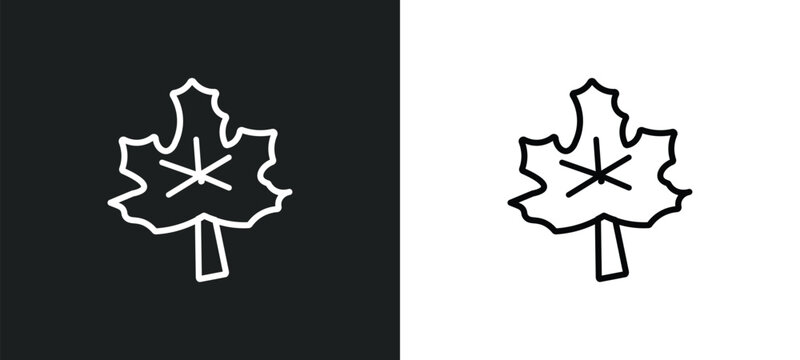 autumn leaves outline icon in white and black colors. autumn leaves flat vector icon from nature collection for web, mobile apps and ui.
