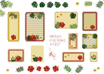 フレーム素材【貝・ヤシ・モンステラ・ハイビスカス】夏のメッセージ