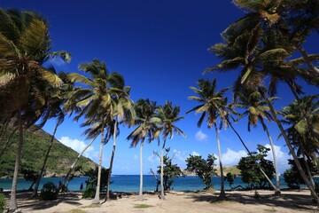 Guadeloupe nature. Pompierre Beach (Plage de Pompierre) on Terre De Haut island.