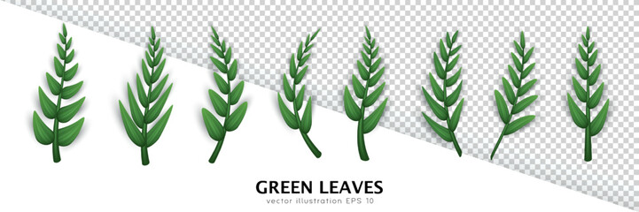 Set of various realistic twigs with green leaves isolated on transparent background. Design elements with different 3d tree branches clip art. Vector illustration with herbs, foliage