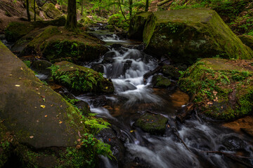 Creek of Moosalbe in Kalstalschlucht with small Waterfalls, Rhineland-Palatinate, Germany, Europe
