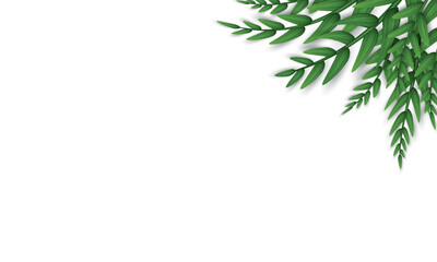 Blank white banner with realistic twigs with green leaves in the corner. Poster, background with olive tree branches. Wallpaper with herbs, foliage and copy space. 
