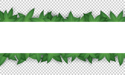 Banner with realistic green leaves, blank white space for text and transparent background. Botanical Poster with branches. Organic wallpaper with frame with herbs, foliage and copy space. 