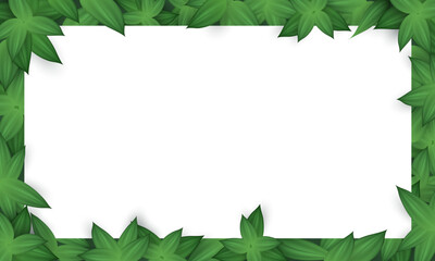 Fototapeta premium Banner with realistic green leaves pattern and blank white space for text. Botanical poster with frame with branches. Organic wallpaper with frame with herbs, foliage and copy space. 