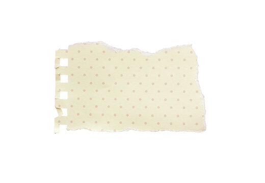 close up of a white ripped piece of paper with copyspace. torn paper isolated transparent png