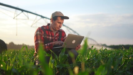 corn agriculture. a male farmer works on a laptop in a field with green corn sprouts. corn is watered lifestyle by irrigation machine. irrigation agriculture business concept