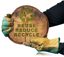 Gloved hands holding a cross section of a tree trunk with a recycle symbol and Text Reuse, Reduce and Recycle. Isolated on white or transparent background. Sustainable Resources concept. Png.