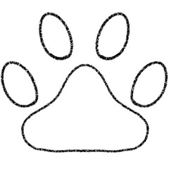 cat foot pattern