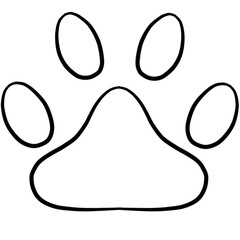 cat foot pattern