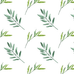 Seamless pattern green leaves trees, foliage of natural branches, green leaves, herbs, tropical plants hand drawn watercolor on white background.