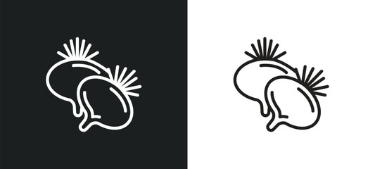 beetroot outline icon in white and black colors. beetroot flat vector icon from fruits collection for web, mobile apps and ui. - obrazy, fototapety, plakaty