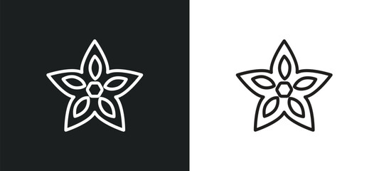 Fototapeta na wymiar carambola outline icon in white and black colors. carambola flat vector icon from fruits collection for web, mobile apps and ui.