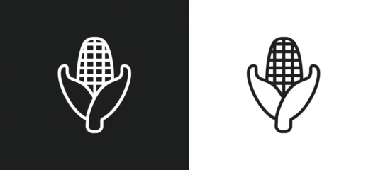 Poster corn outline icon in white and black colors. corn flat vector icon from fruits collection for web, mobile apps and ui. © Digital Bazaar