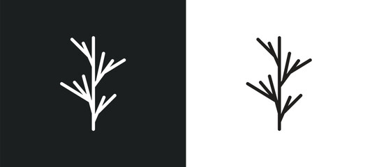 dill outline icon in white and black colors. dill flat vector icon from fruits and vegetables collection for web, mobile apps and ui.