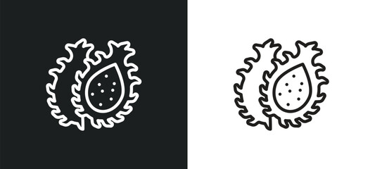 Obraz premium dragon fruit outline icon in white and black colors. dragon fruit flat vector icon from fruits and vegetables collection for web, mobile apps and ui.