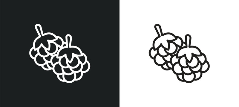 blackberry outline icon in white and black colors. blackberry flat vector icon from fruits and vegetables collection for web, mobile apps and ui.