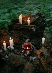 witch cauldron and burning candles on tree stump in forest, dark abstract natural background....
