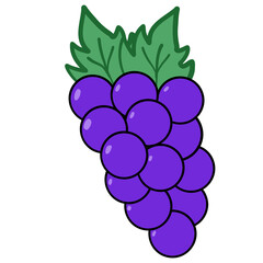 Grapes on a white background isolated. Vector illustration