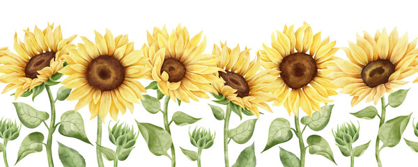 Watercolor hand painted sunflower seamless border. Fall loral horizontal pattern. Yellow flowers, leaves and plants. Autumn arrangement. Botanical illustration.