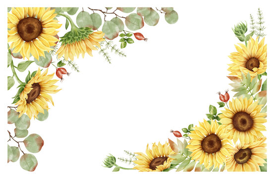 Watercolor hand painted sunflower corber set. Yellow flowers, eucalyptus, rosehip, leaves and plants. Autumn floral borders and frames. Fall clipart. Botanical illustration.