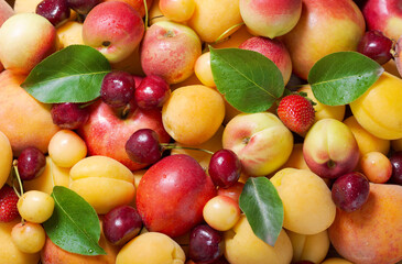 fresh fruits as background, top view