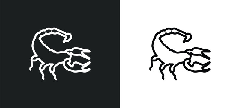 scorpion outline icon in white and black colors. scorpion flat vector icon from desert collection for web, mobile apps and ui.