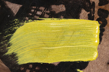 palm tree on the wall