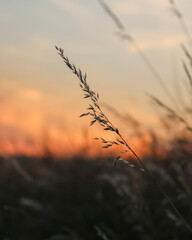 Zonsondergang van landschap, Zwitserland. 