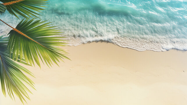 Sunny sand beach with water wave and green palm leaf © Isaias