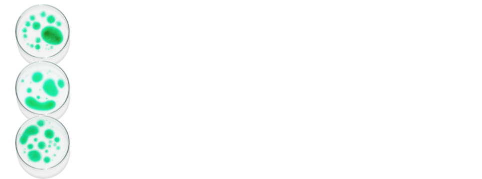 Rectangular banner with Petri dishes isolated. laboratory, research of molecules and bacreria and viruses. Can be pasted on your background