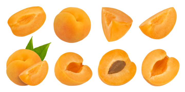 Pitted apricot slices on a white isolated background. Apricot slices with and without pits and with leaves on different sides. Isolate of halves and whole apricots.