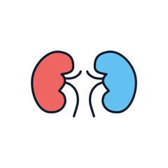 Kidney Vector Icon. Isolated on the White Background. Editable EPS file. Vector illustration