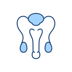 Male Reproductive System Related Vector Line Icon. Isolated on White Background. Editable Stroke