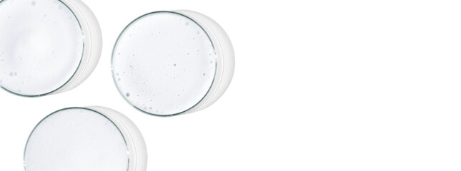 Rectangular banner with Petri dishes isolated. Foam. Can be pasted on your background