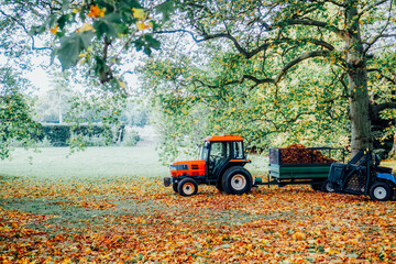 Removing fallen autumn leaves in the park, process of raking and cleaning the area from yellow leaves, regular seasonal work with tractor, garden tools and modern equipment. - Powered by Adobe