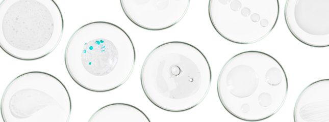 Rectangular banner with Petri dishes isolated. Smears of transparent gel, serum. Can be pasted on your background