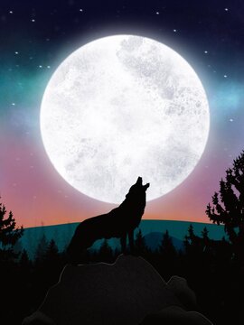Loup hurlant devant la lune