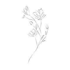Line Drawing Botanical Wreath. Herbs and florals 06