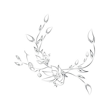 Line Drawing Botanical Wreath. Herbs and florals 15
