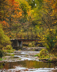 autumn in the park with bridge over stream