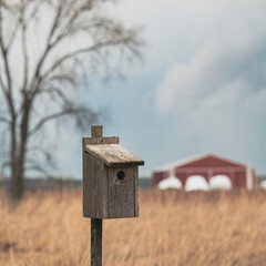 wooden bird house in field with barn