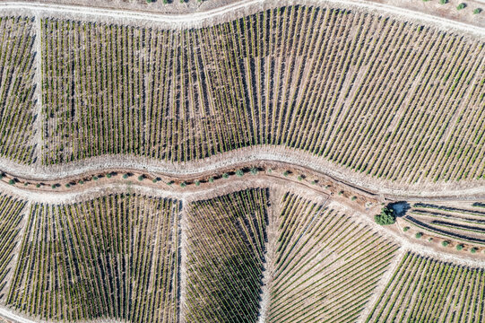 Aerial view of vineyards in countryside near Sao Cristovao do Douro, Portugal.