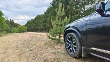 A short stop during the journey. The car stands in front of a young pine tree on the side of a country road. The road runs between a pine forest and a grassy lawn. The sky is cloudy