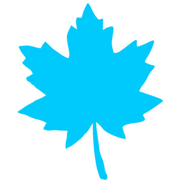 maple leaf