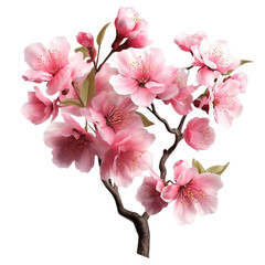 cherry blossom sakura isolated on transparent background cutout, generative ai