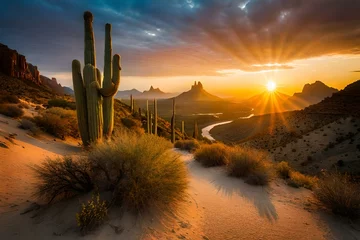 Zelfklevend Fotobehang Group of saguaro cacti at sunrise in desert AI Generated  © HotiGrapher