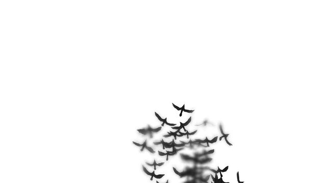 Blurred cinematic image of black birds on a white background.